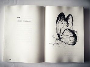 初探《博物志》 一部包羅萬象的古代奇書